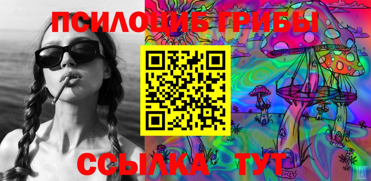 Галлюциногенные грибы Psilocybine cubensis Красноуфимск